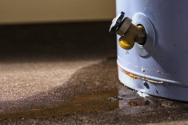 Best Carpet water damage restoration  in Wood Village, OR