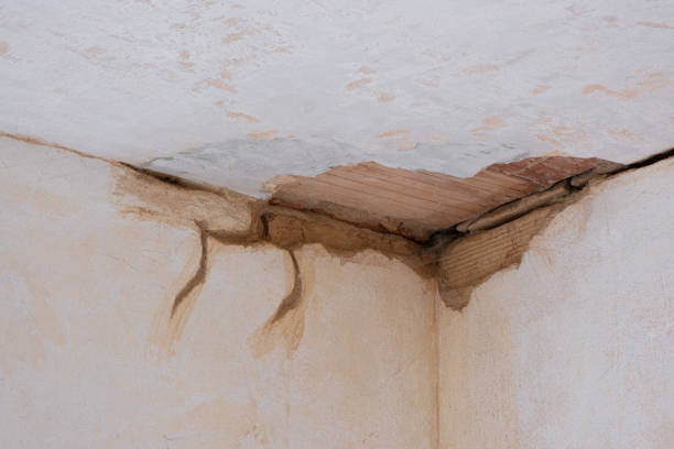 Carpet water damage restoration in OR