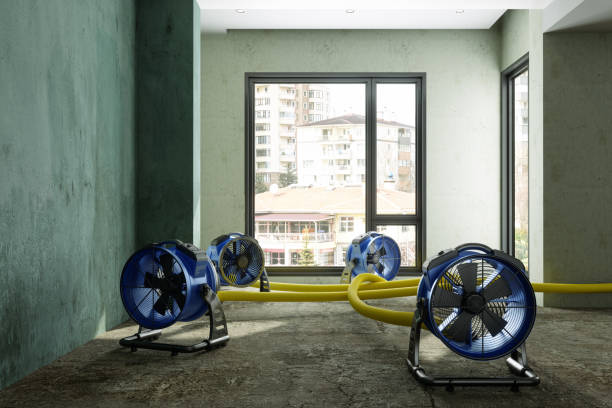 Best Emergency water damage restoration  in Wood Village, OR